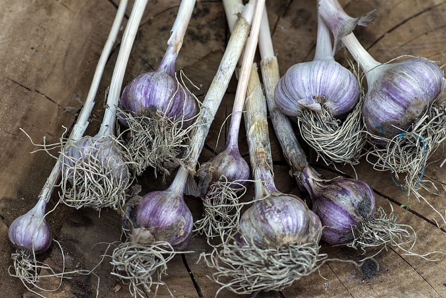 garlic, vegetables, tuber, food, freshness, organic, onion HD wallpaper