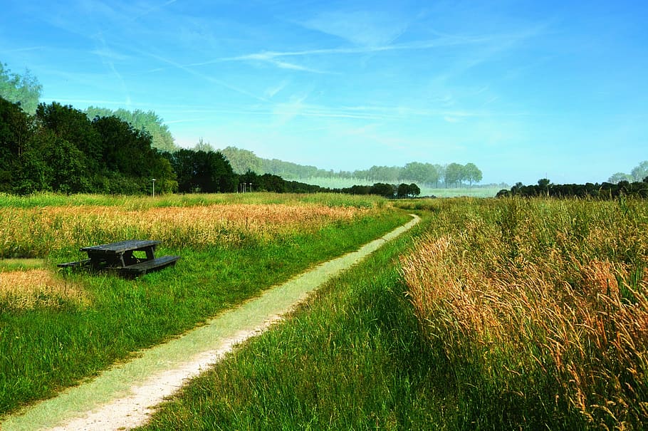 green trail between grass field, meadow, path, landscape, scenic HD wallpaper