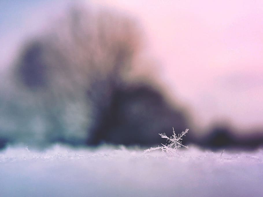closeup photo of snowflakes, ice, winter, cold temperature HD wallpaper