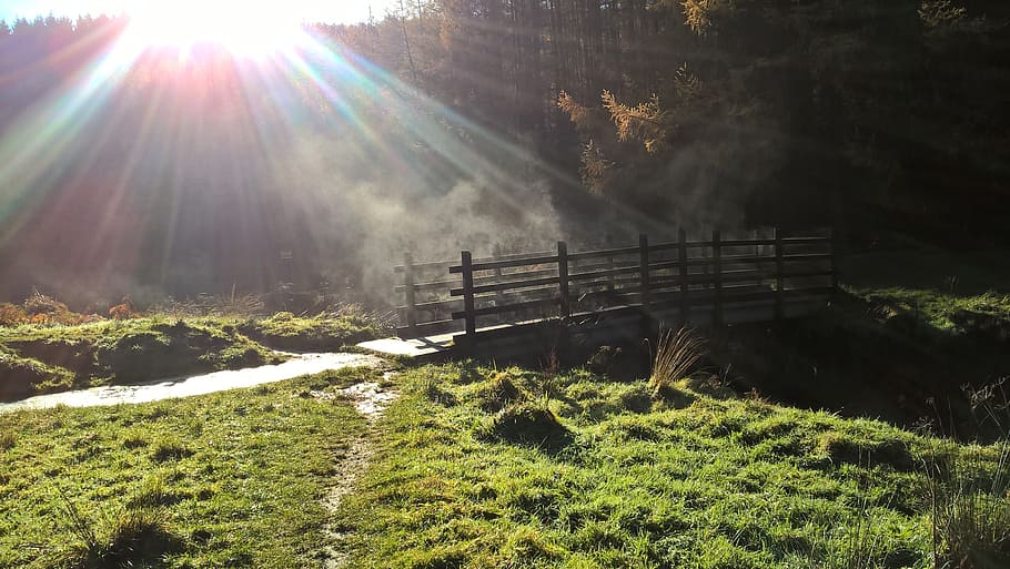 bridge, sun, light, sunlight, sunbeam, plant, nature, land HD wallpaper