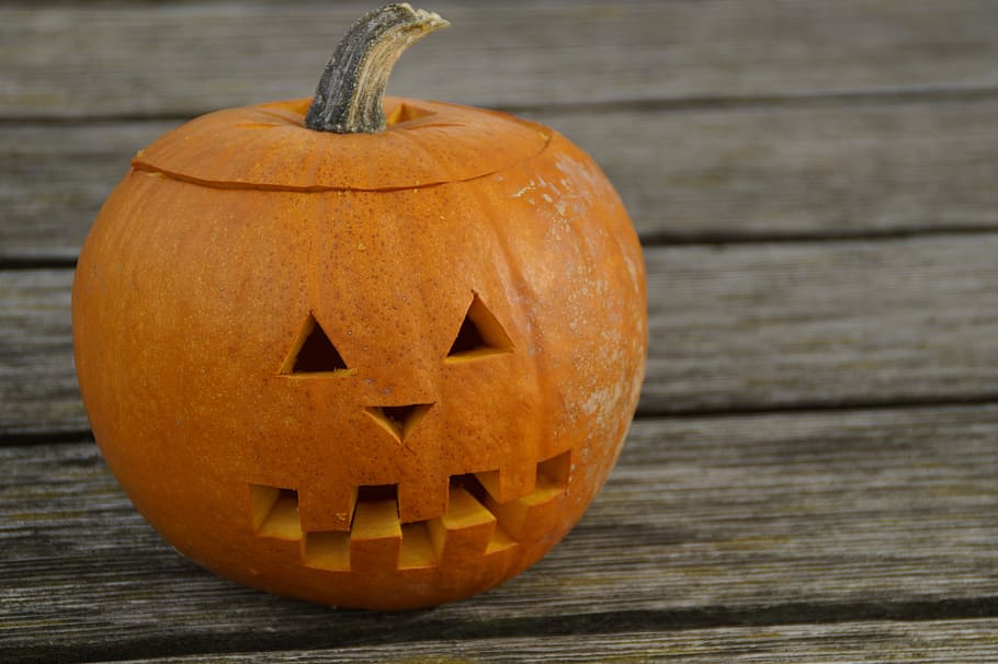 pumpkin, pumpkins, orange, bright, autumn, autumn decoration HD wallpaper
