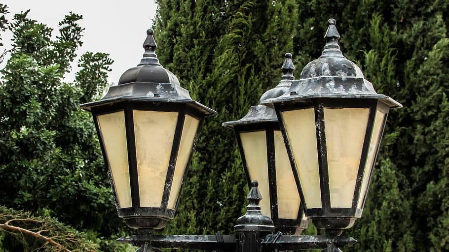 lanterns, lights, lamps, elegant, weathered, tree, plant, lighting equipment HD wallpaper
