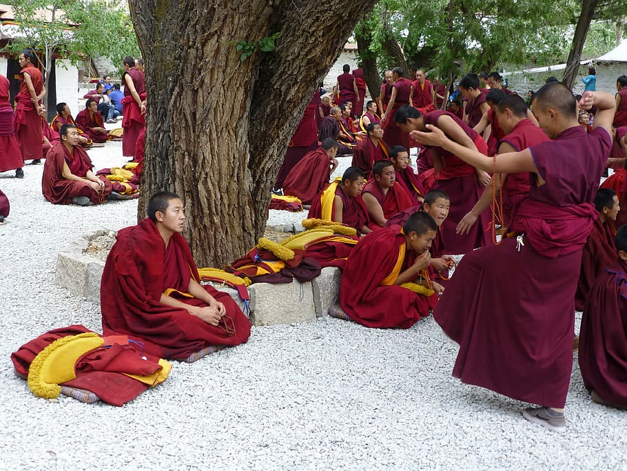 tibet, sera monastery, jhasa, gelugpa, debate session, buddhism, HD wallpaper