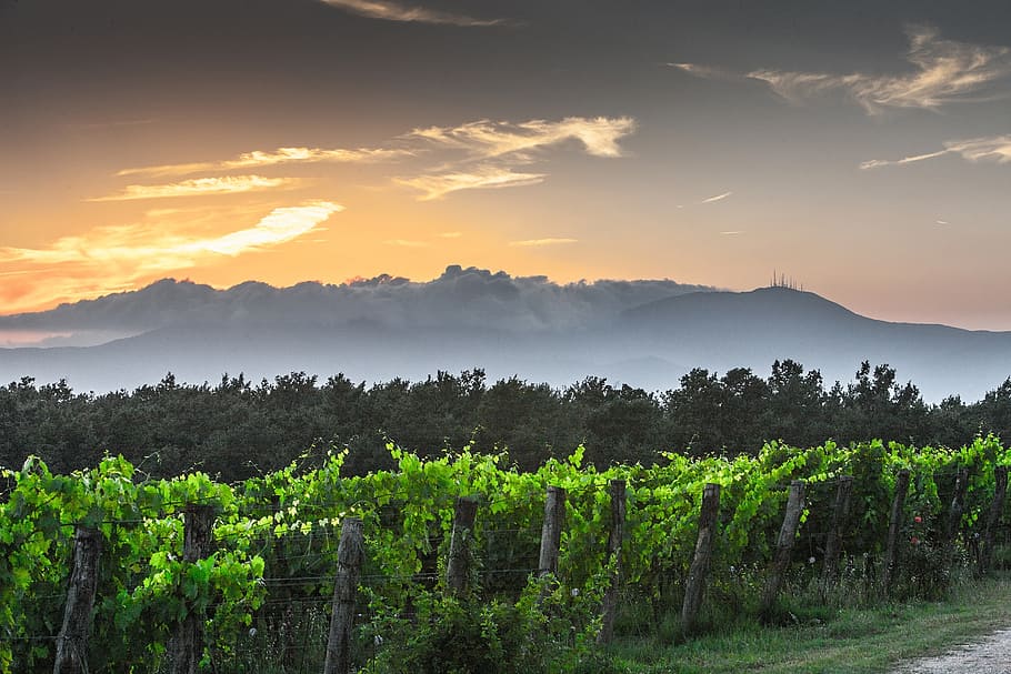 photo of gray wooden fence facing mountains, evening, tuscany HD wallpaper