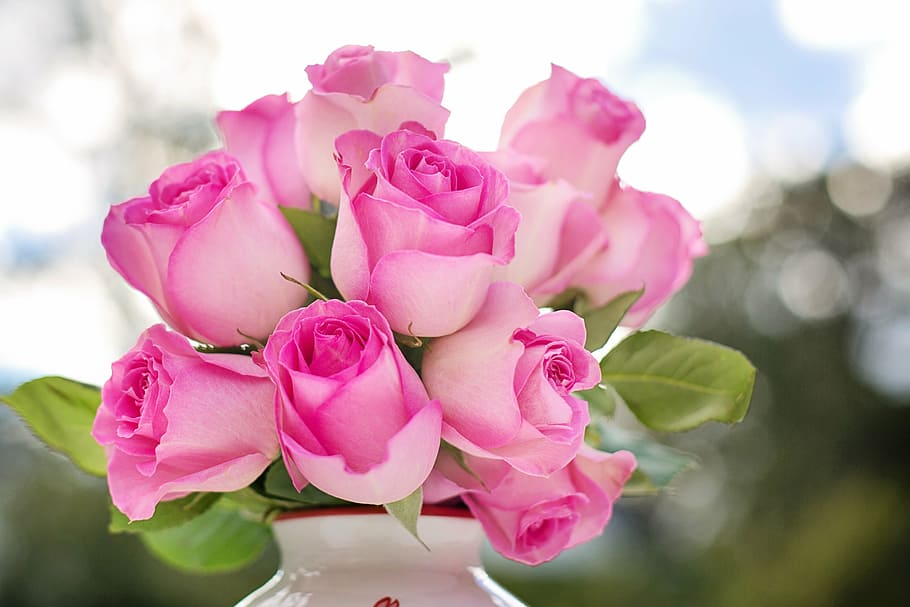 pink rose flower arrangement, pink roses, flowers, romance, romantic, HD wallpaper
