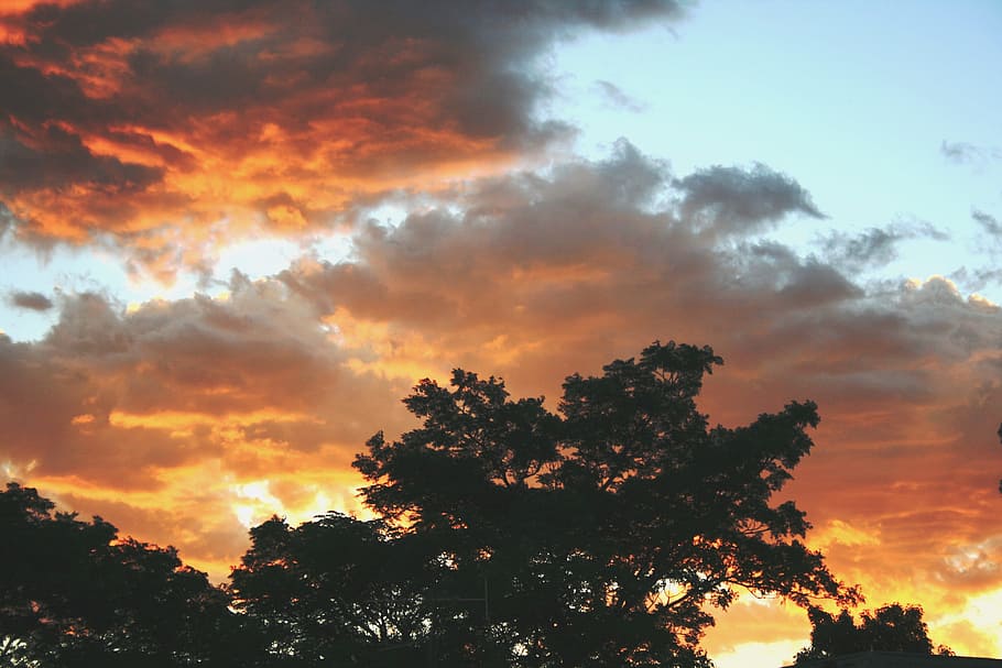 Sunset, Clouds, Soft, Orange, Yellow, soft orange, silhouette HD wallpaper