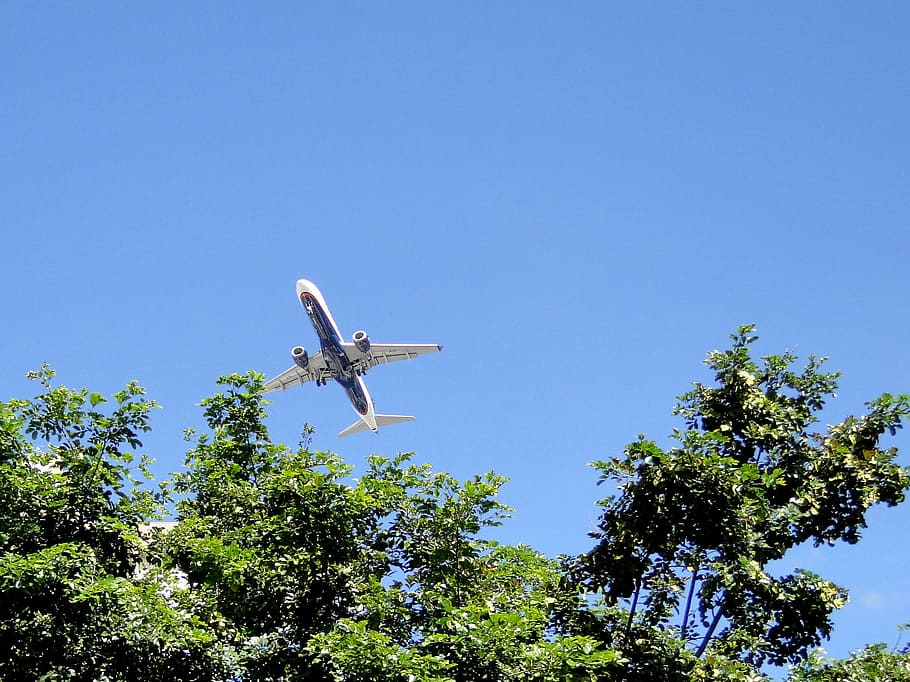 Air tree. Фото самолёта Весна. Plane Blue Sky.