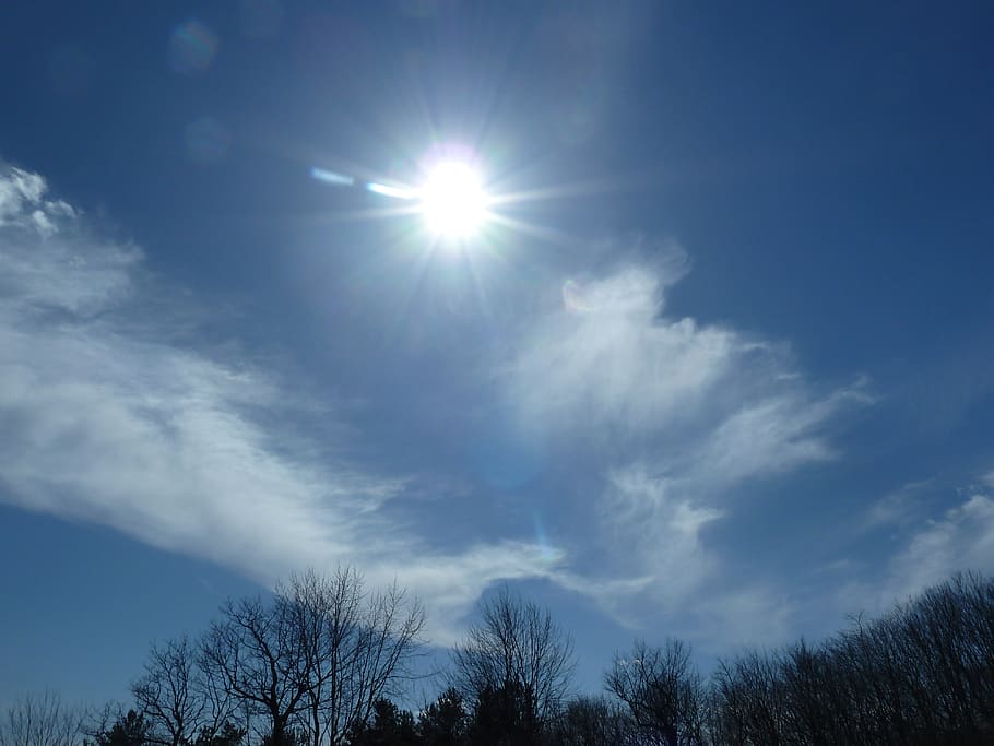sky, sun, clouds, light, cloud - sky, tree, low angle view HD wallpaper