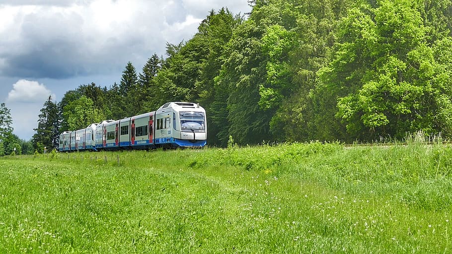 nature, grass, summer, tree, plant, green color, mode of transportation HD wallpaper