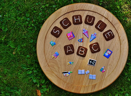 round brown wooden board on green grass, school, back to school HD wallpaper
