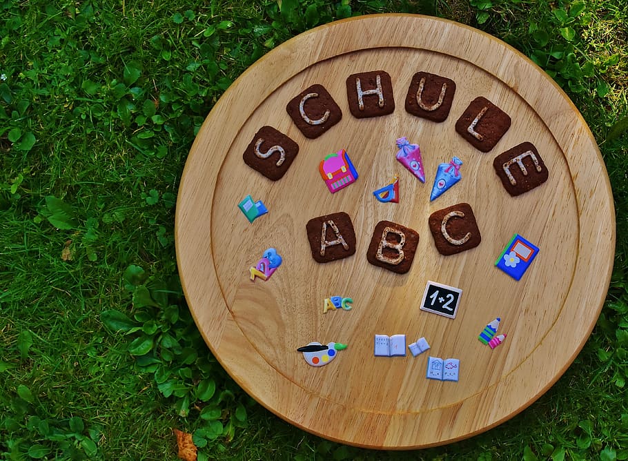 round brown wooden board on green grass, school, back to school