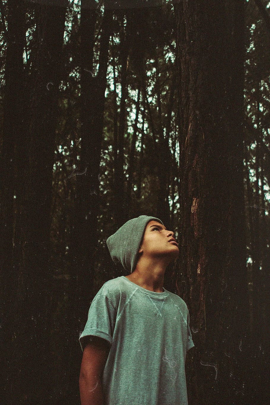 man, guy, beanie, trees, forest, nature, model, fashion, looking HD wallpaper