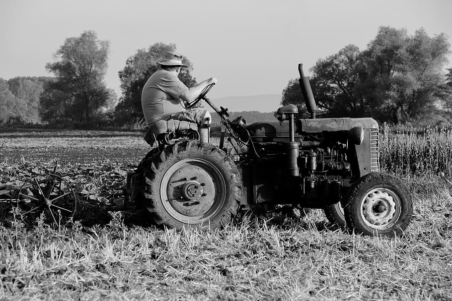 field, tractor, tractor driver, land, plant, real people, agricultural machinery HD wallpaper