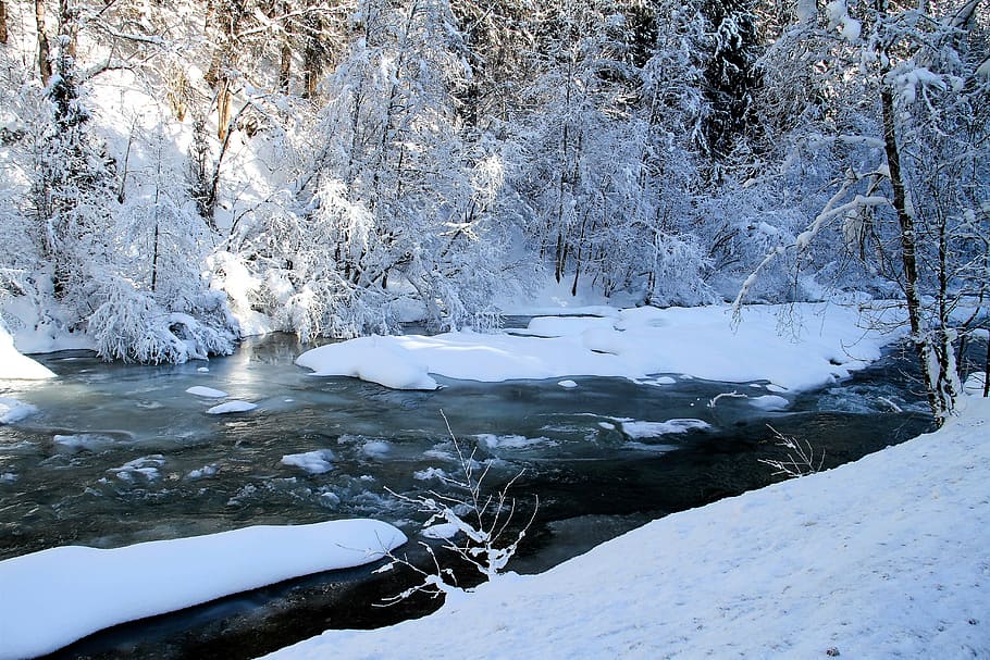 snow-covered river during winter, trees, bach, landscape, wintry HD wallpaper