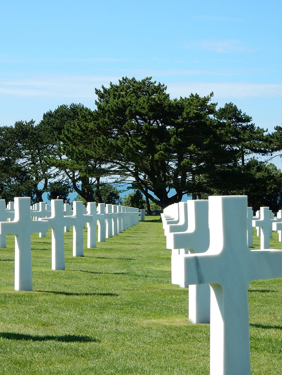 collection, emotion, memory, plant, cemetery, tree, grave, tombstone HD wallpaper