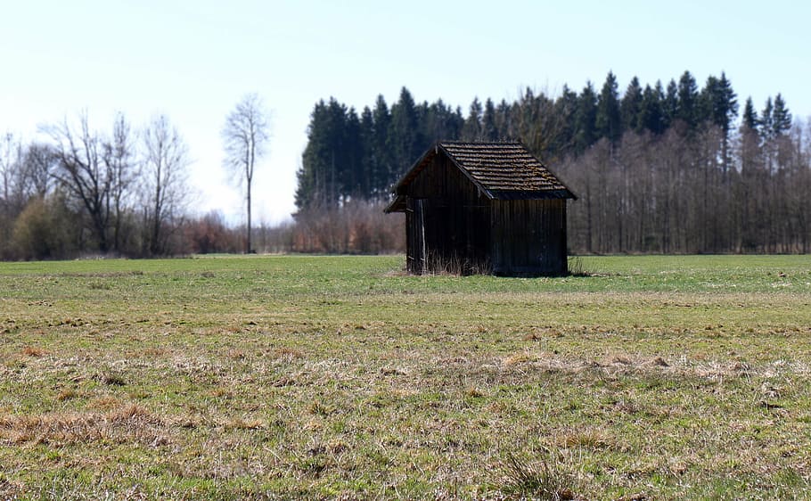 hut, barn, field, meadow, nature, tree, plant, built structure HD wallpaper