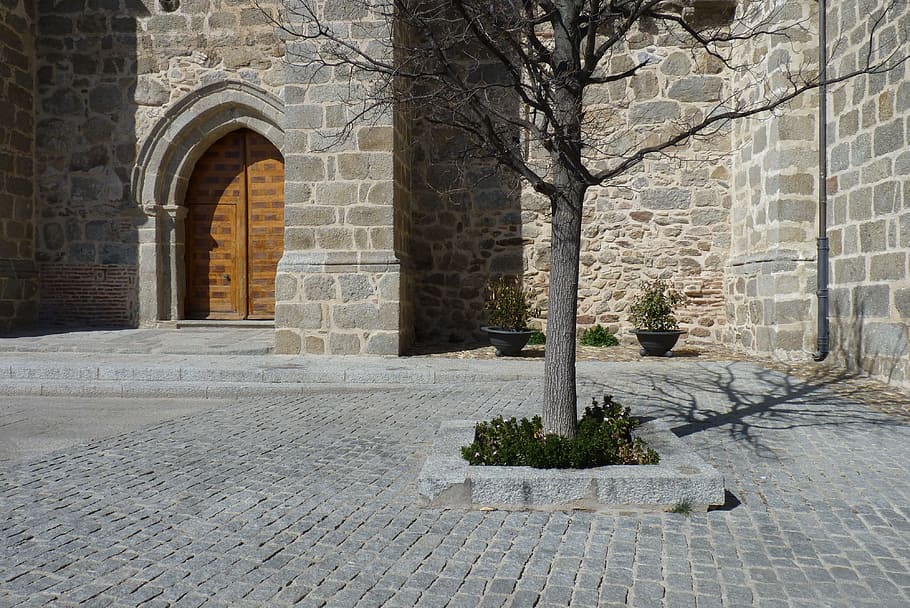architecture, stone, wall, old, brick, built structure, plant HD wallpaper
