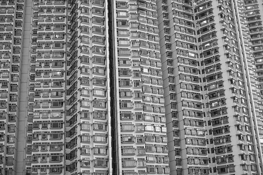 Density, greyscale photo of high-rise building, architecture HD wallpaper