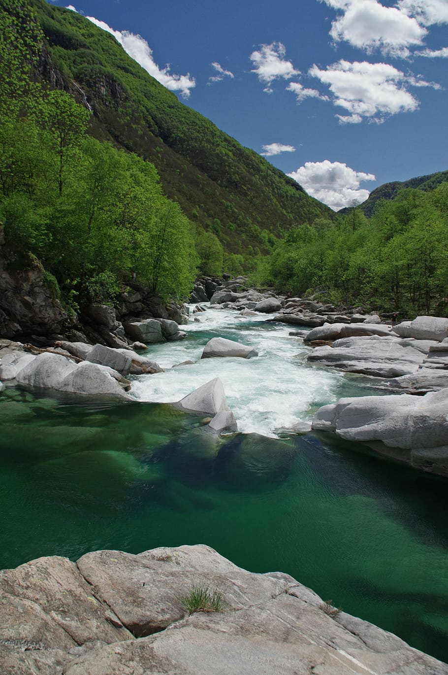 river near the forest photography, mountains, nature, landscape HD wallpaper