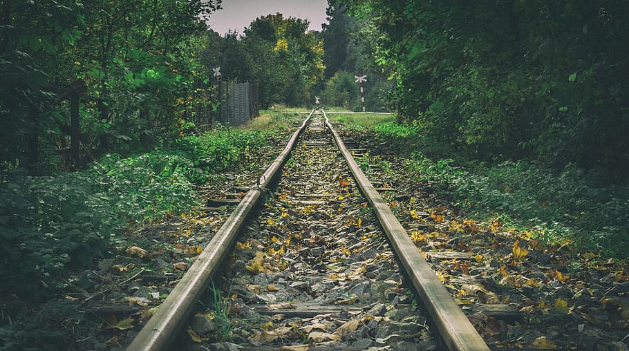 Forest, Railway, Railway, Track, Old, railroad Track, transportation HD wallpaper