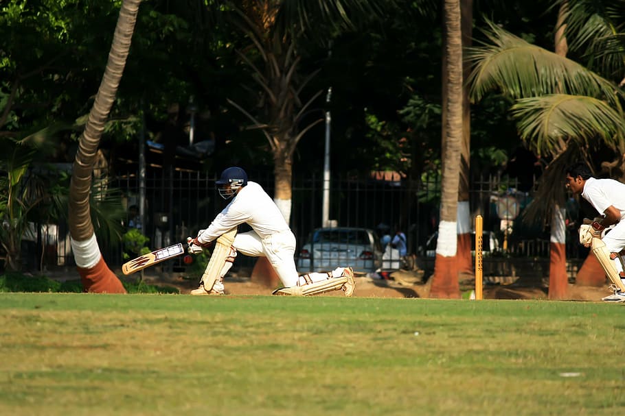 wicketkeeper, cricket, batsman, ball game, india, competition, HD wallpaper