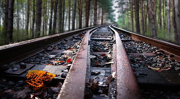 train railway photograph, Sky, Forest, Concept, autumn, line HD wallpaper