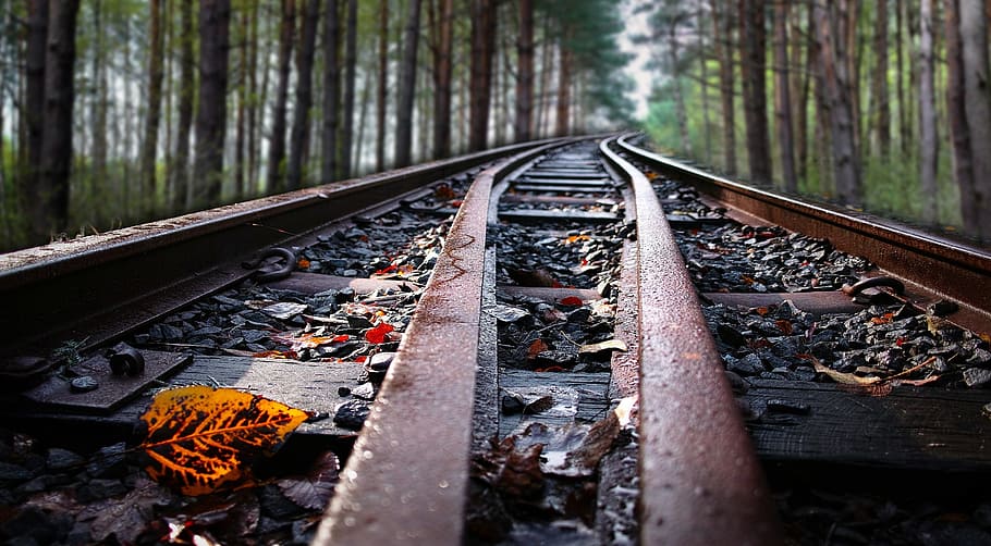train railway photograph, Sky, Forest, Concept, autumn, line, HD wallpaper