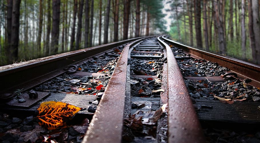 train railway photograph, Sky, Forest, Concept, autumn, line HD wallpaper