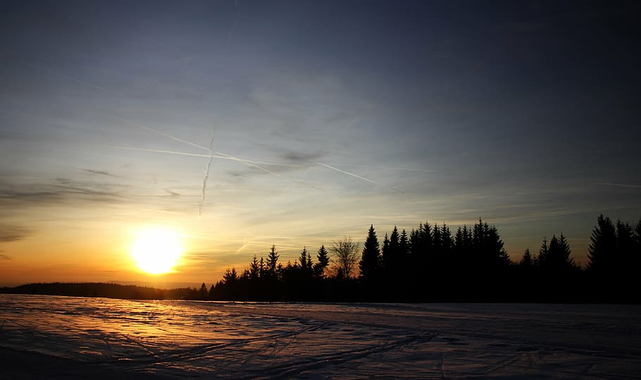 sunset, snow, tree, nature, sky, beauty in nature, tranquility HD wallpaper