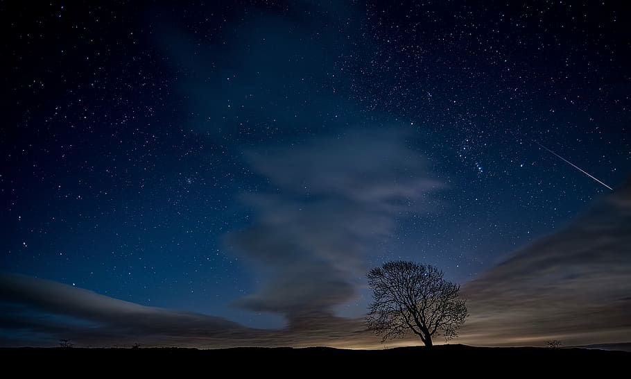 silhouette of tree, cloudy, sky, plant, field, farm, nature HD wallpaper