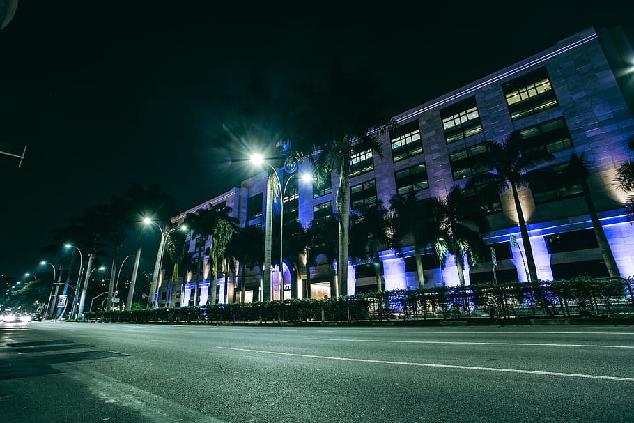 Green Palm Trees on Side Walk Near Gray Building at Nighttime HD wallpaper