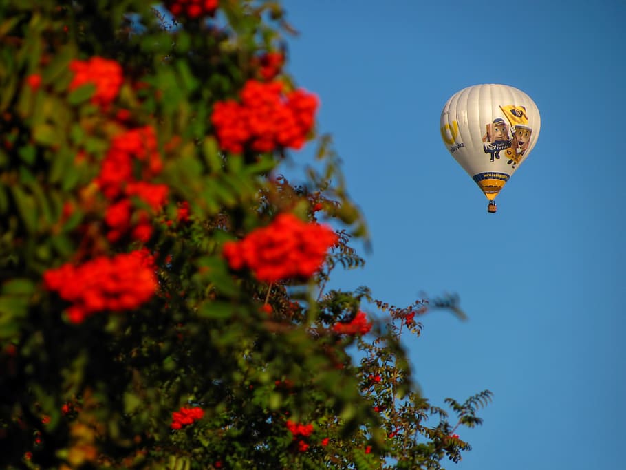 balloon, hot air, fly, float, fun, recreation, flying, rise HD wallpaper