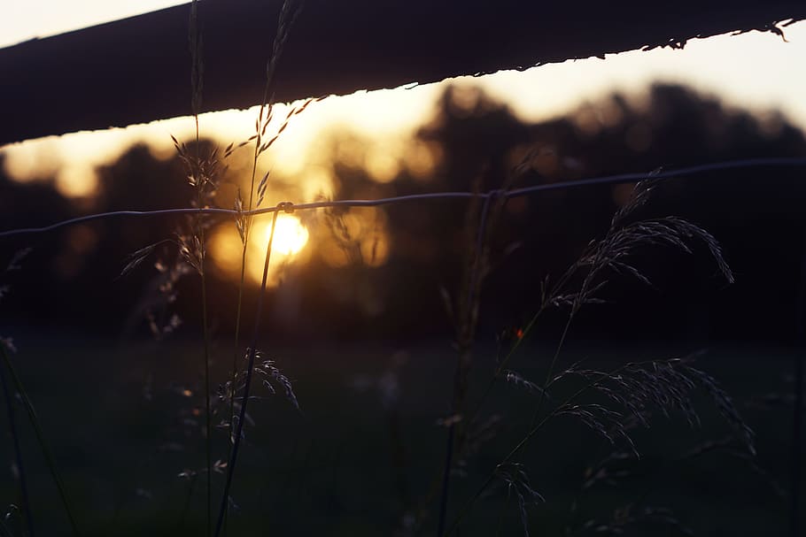 sunset, evening, dusk, silhouette, landscape, afterglow, red HD wallpaper