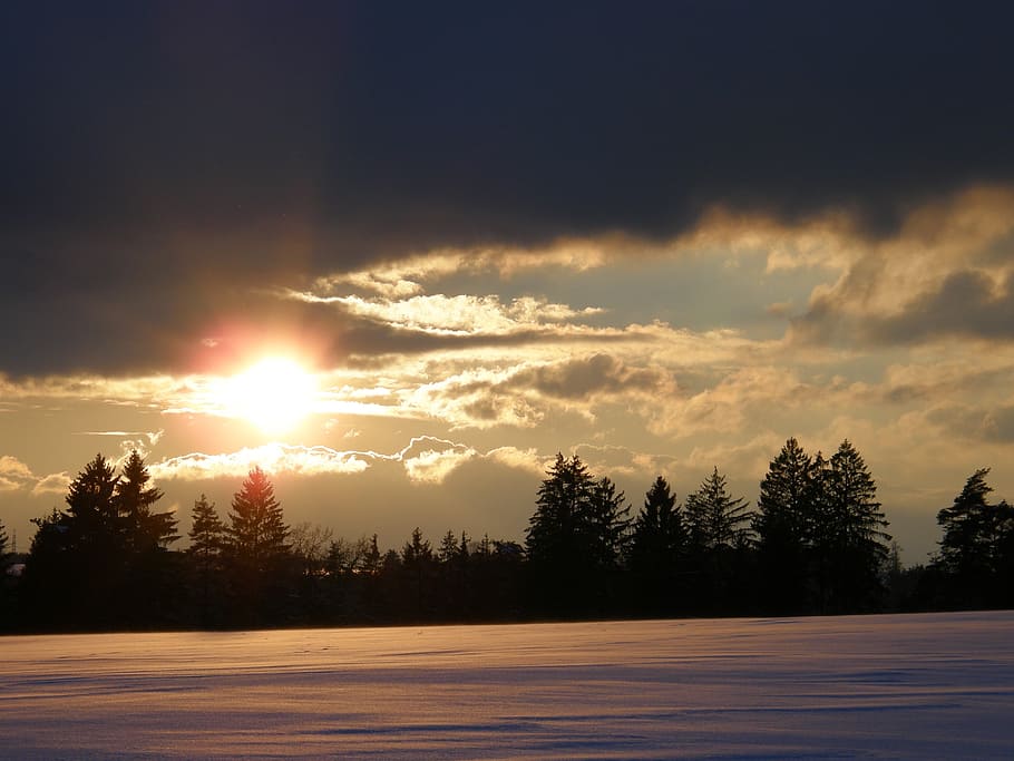 winter sun, sunset, wintry, trees, snow, abendstimmung, winter magic HD wallpaper