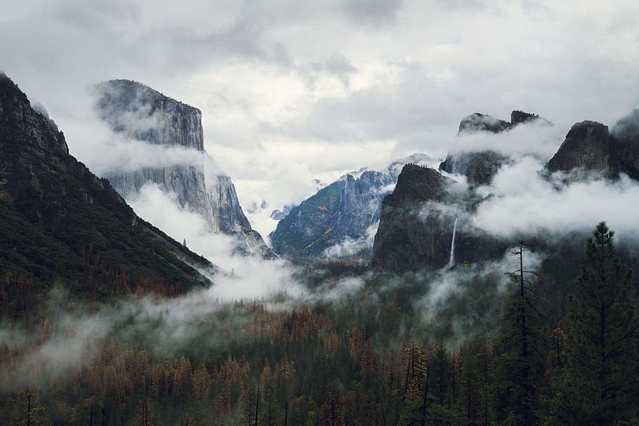 scenery of forest field and mountain, mountain filled with mist HD wallpaper