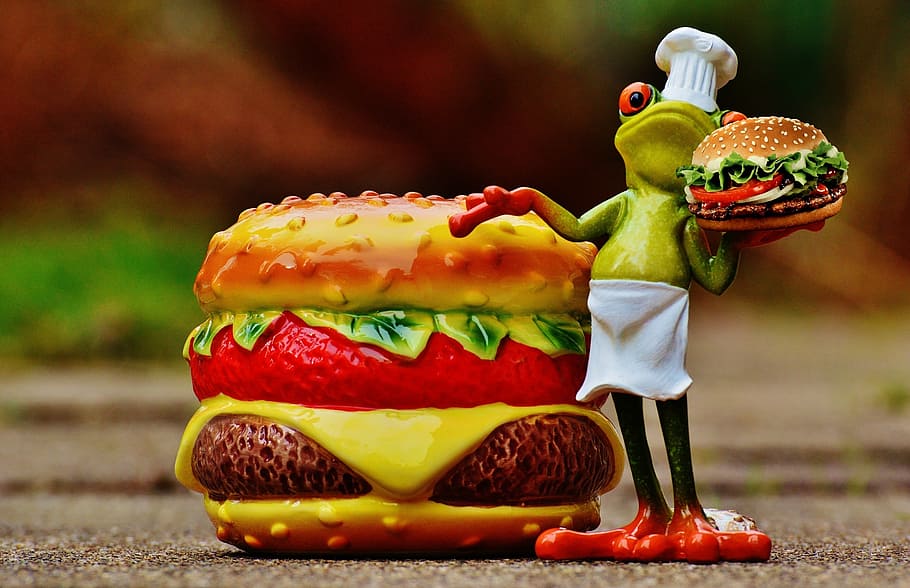 hamburger, cheeseburger, cooking, frog, funny, food, preparation HD wallpaper