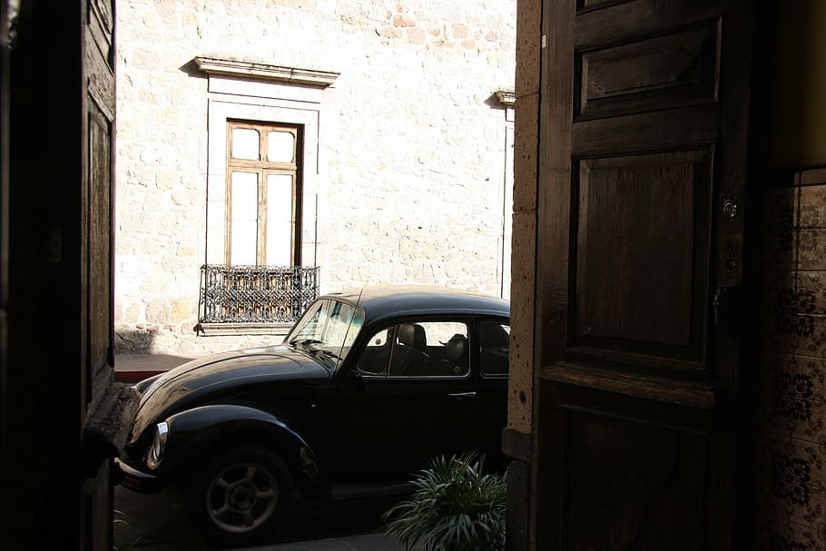 beetle, door, future, inspiration, mode of transportation, architecture HD wallpaper