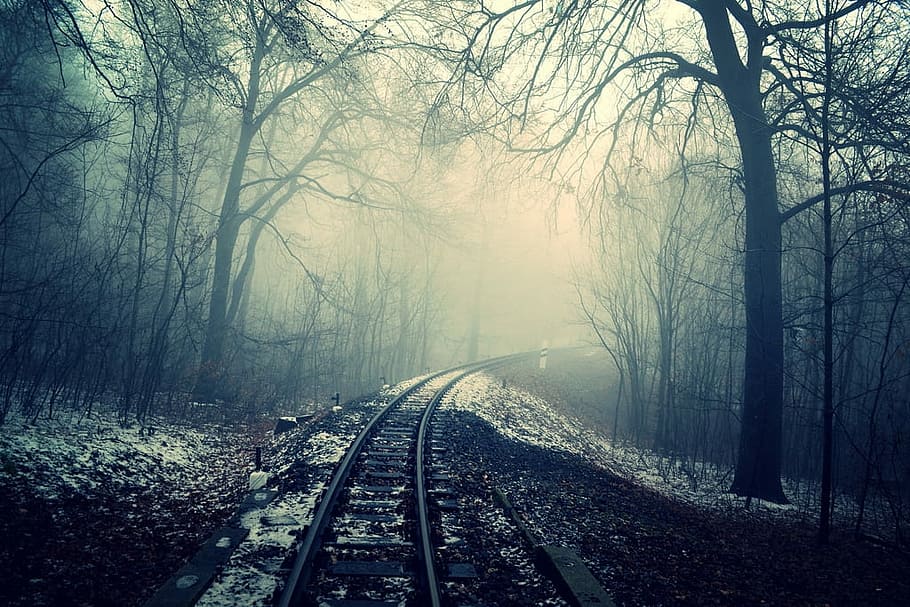 photo of train rail in between of bare trees, Scary railway in the forest