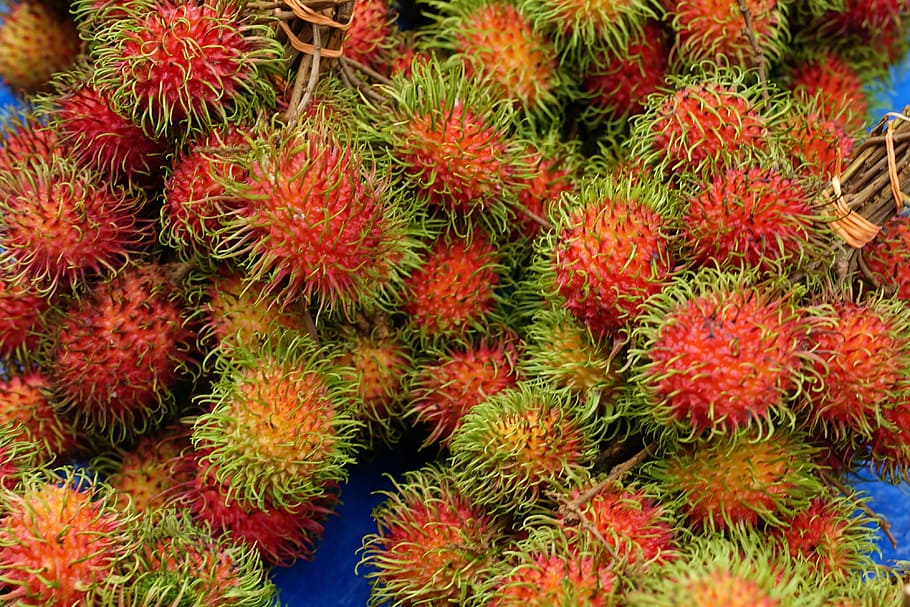 rambutans, hairy fruits, fresh harvest, tropical, malaysia