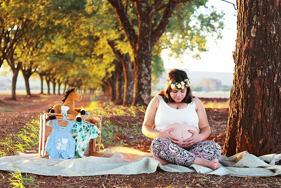 pregnant woman, mother, essay, pregnant book, sitting, tree, HD wallpaper