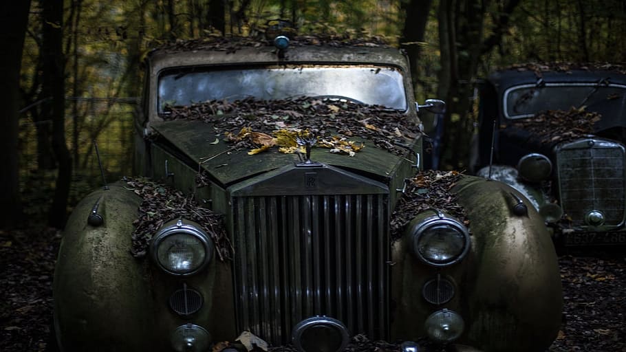 gray Rolls Royce vehicle, old car abandoned, leaves, fall, beautiful old car, HD wallpaper