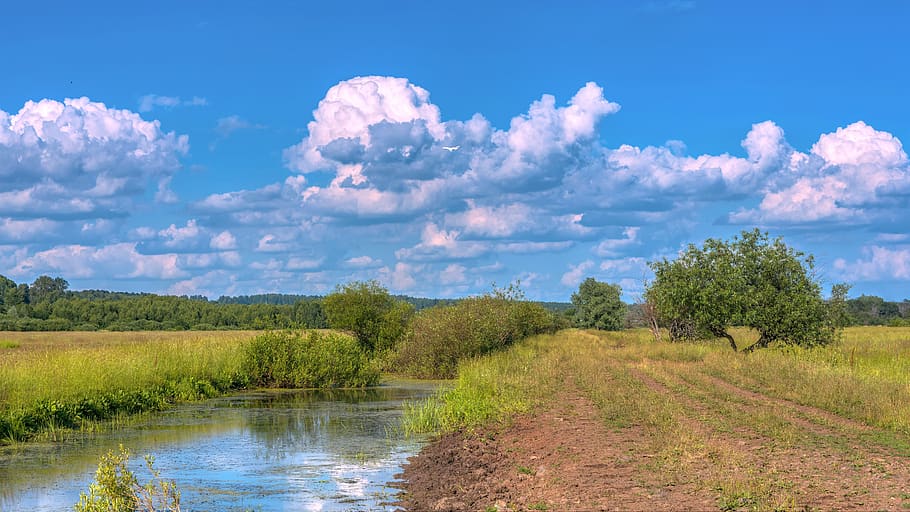 landscape, nature, clouds, forests, tree, sky, green, trees HD wallpaper
