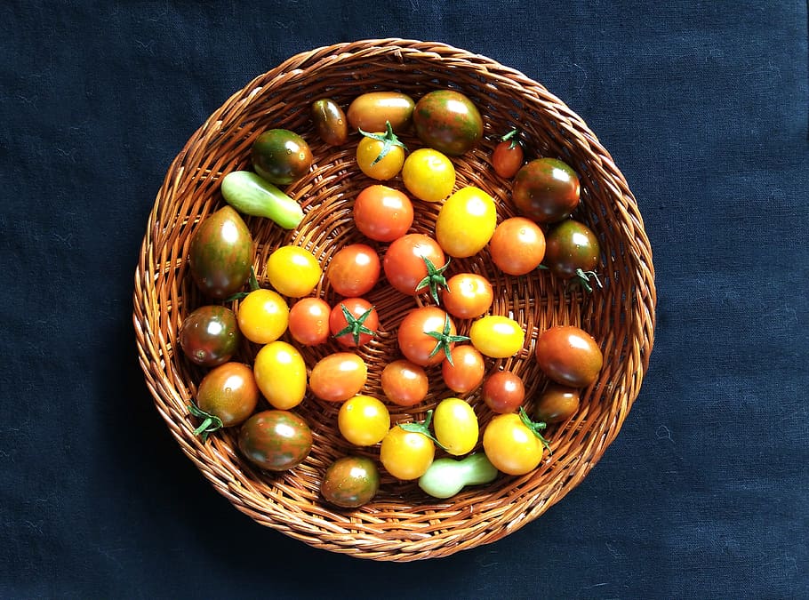 tomatoes, cherry, tray, harvest, orchard, cherry tomatoes, vegetable HD wallpaper