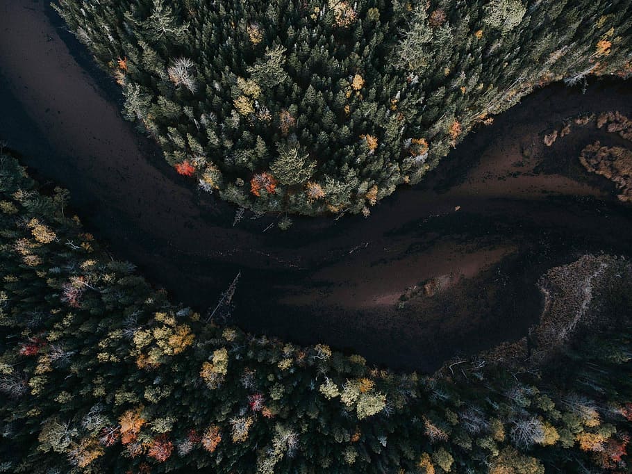 aerial photography of tree and body of water, aerial view of river surrounded by trees HD wallpaper