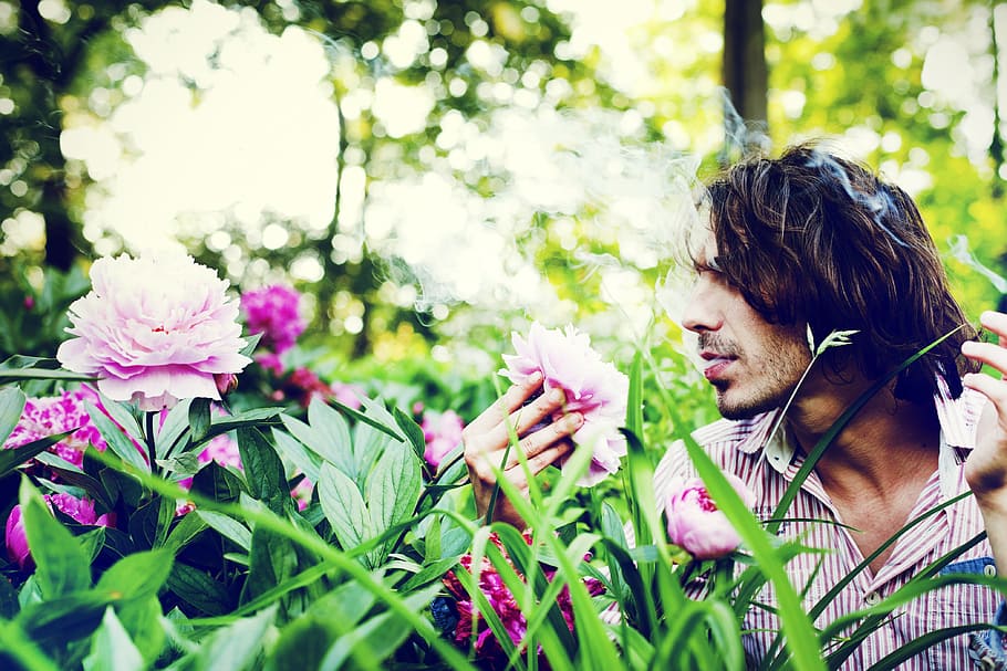 nature, man, person, hands, beautiful, bloom, blooming, blossom HD wallpaper