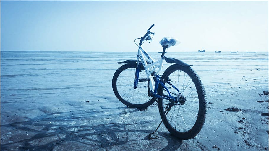Saint Martin, Sea, Cycling, Beach, landscape, bicycle, outdoors, HD wallpaper