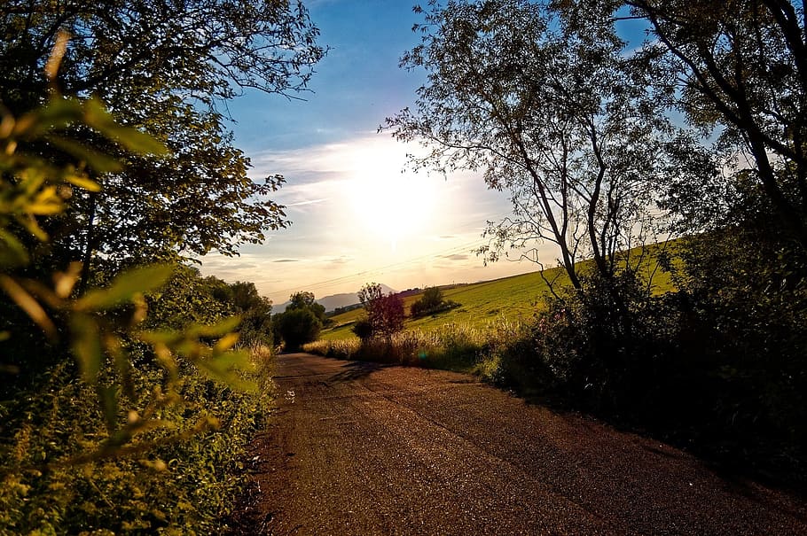 sun, trees, nature, rays, landscape, path, shadow, heaven, clouds HD wallpaper