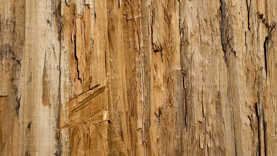 brown wooden board, texture, background, grain, bark, chop HD wallpaper
