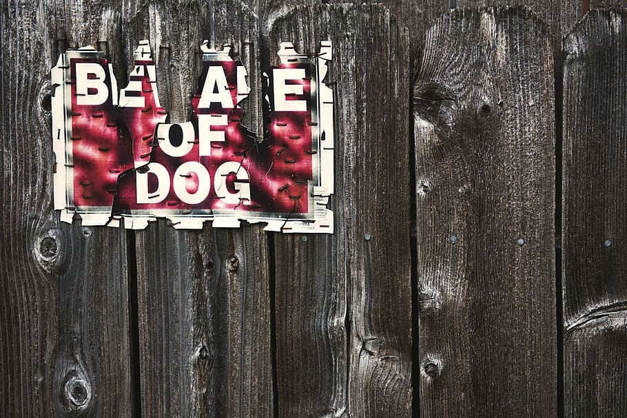 beware of dog sign on wood fence, Beware of dog signage on fence, HD wallpaper