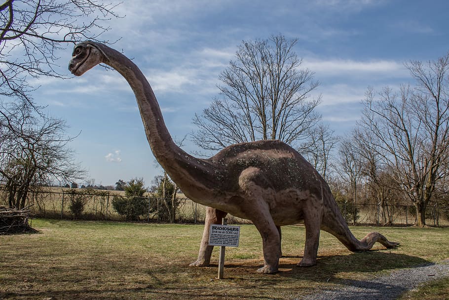 Dinosaur, Extinct, Prehistoric, Creature, one animal, animal themes HD wallpaper